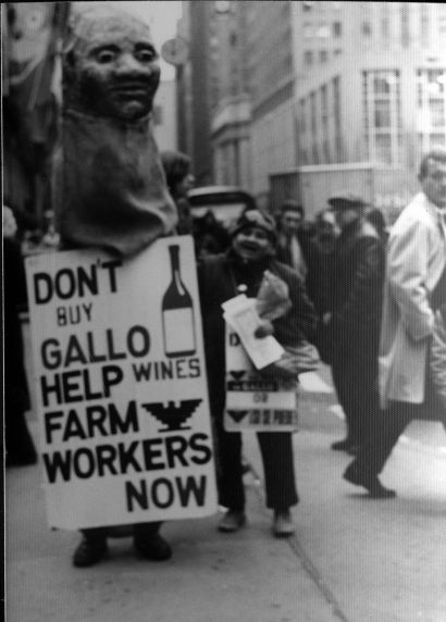 (3688) Gallo Boycott, demonstration